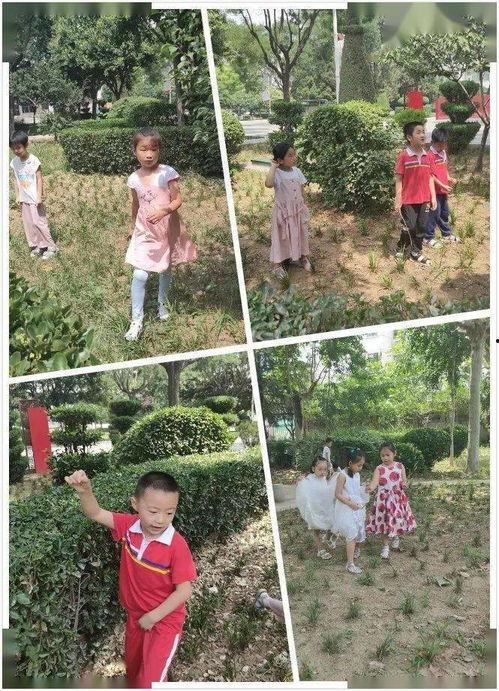 密密花园在线观看,在线观看，揭秘神秘花园的奇幻之旅  第3张